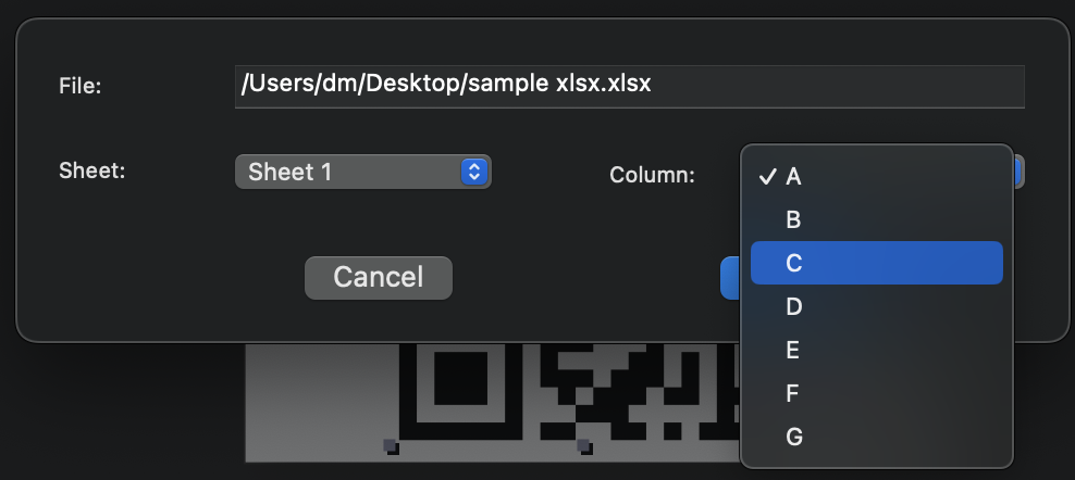 iBarcoder: save .xlsx data file